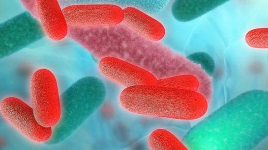 Can Gut Bacteria Unlocking Rheumatoid Arthritis?