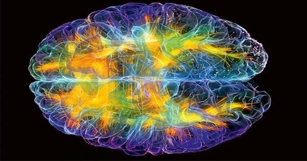 Chiropractic Adjusting Of A Subluxated Spine Changes Brain Function