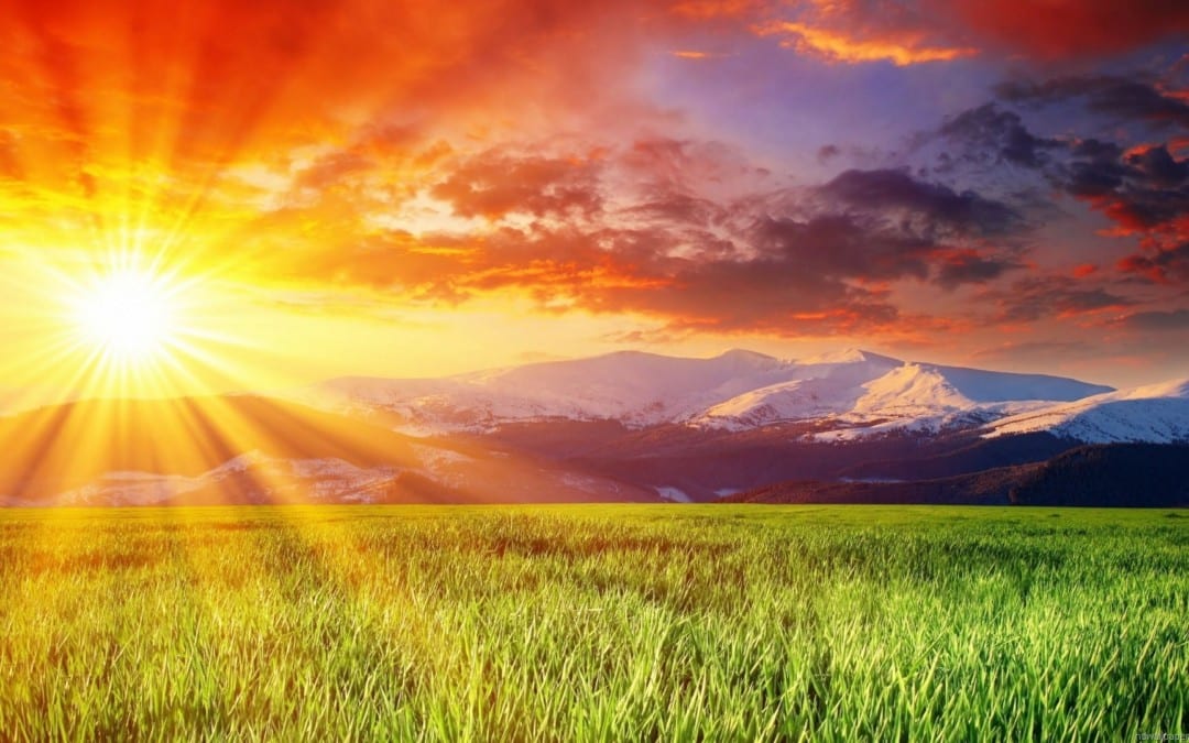8 Things Every Person Should Do Before 8�A.M.