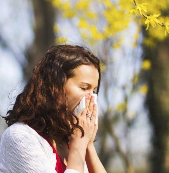 Natural Remedies for Spring Allergies