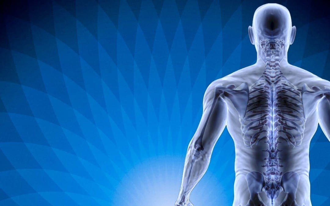 The Real Reason Behind Pain: How The Spine Is Connected To Internal Organs!
