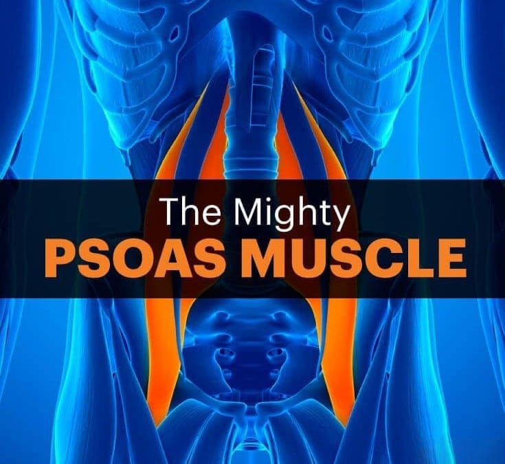 A Weak Psoas Muscle Could Be The Basis For Back Pain