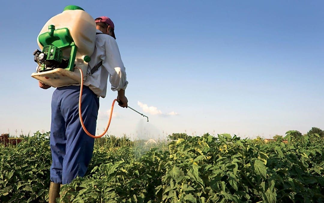 Health Issues Associated with Exposure to Pesticides