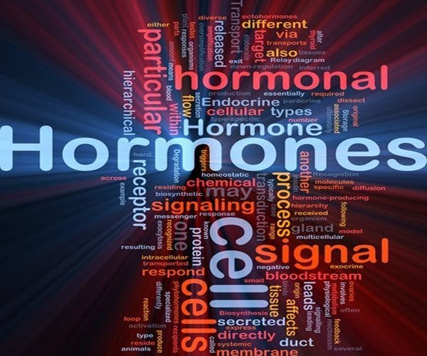 Ľudské identické hormóny môžu obnoviť vaše zdravie