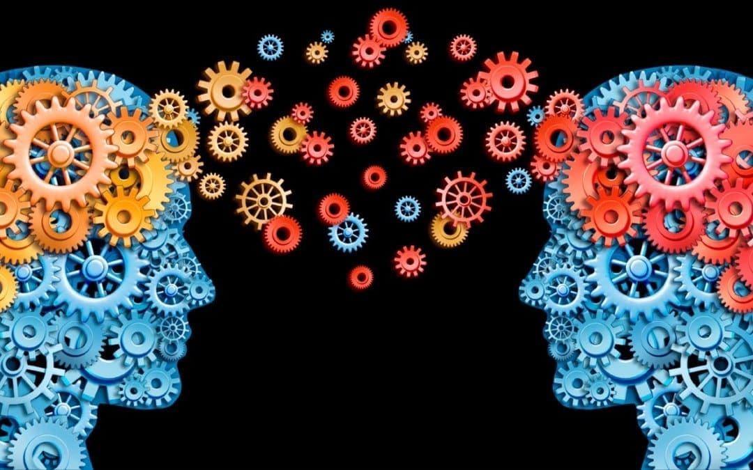 Biocentrism and How it Applies to Health Care | Biocentric Chiropractic