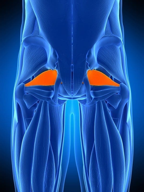 stretches piriformis syndrome pain el paso tx.