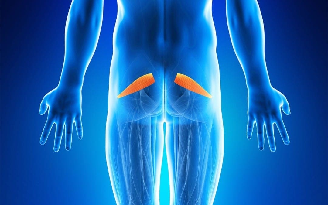 Assessment and Treatment of Piriformis