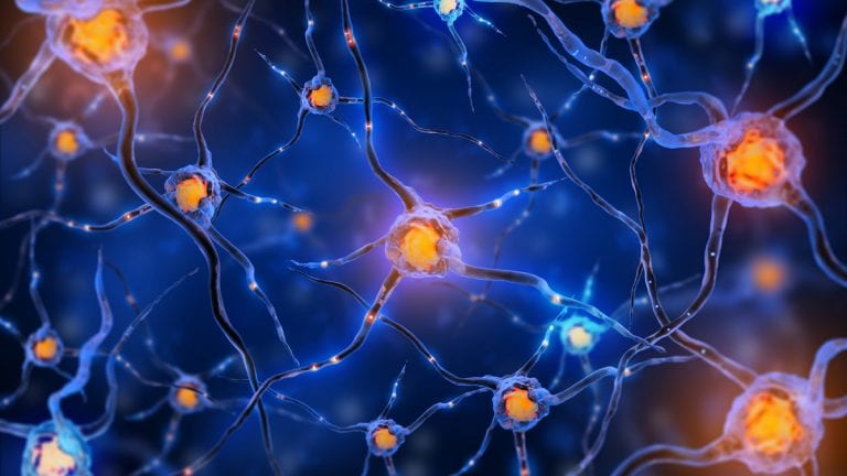 Neuronal Connections and the Chemoaffinity Hypothesis | El Paso, TX Chiropractor