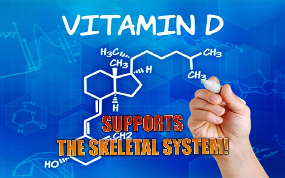 Vitamin D Supports The Skeletal System | El  Paso, TX.