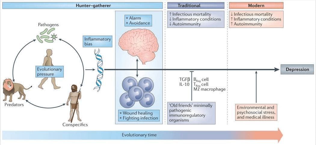 Figure 1 Evolutionary Legacy of an Inflammatory Bias | El Paso, TX Chiropractor