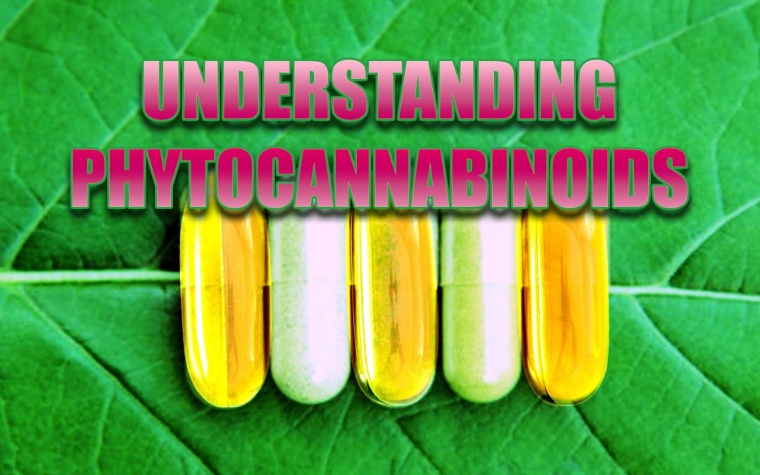 Understanding Phytocannabinoids