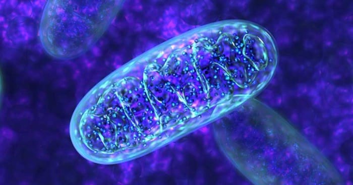 The Emerging Role Of Nrf2 In Mitochondrial Function
