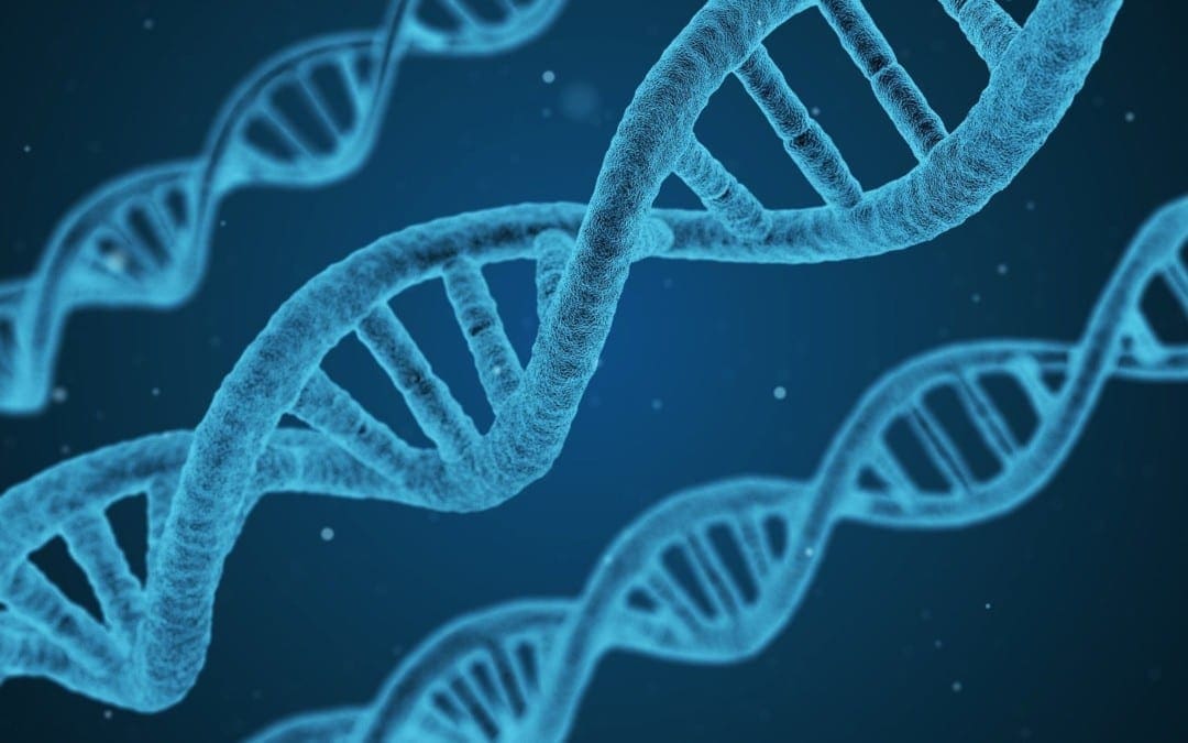 Biochemistry Of DNA Methylation | El Paso, TX Chiropractor