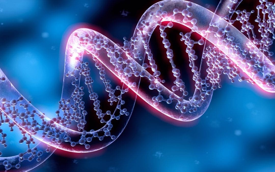 When Methylation Goes Wrong Part 2