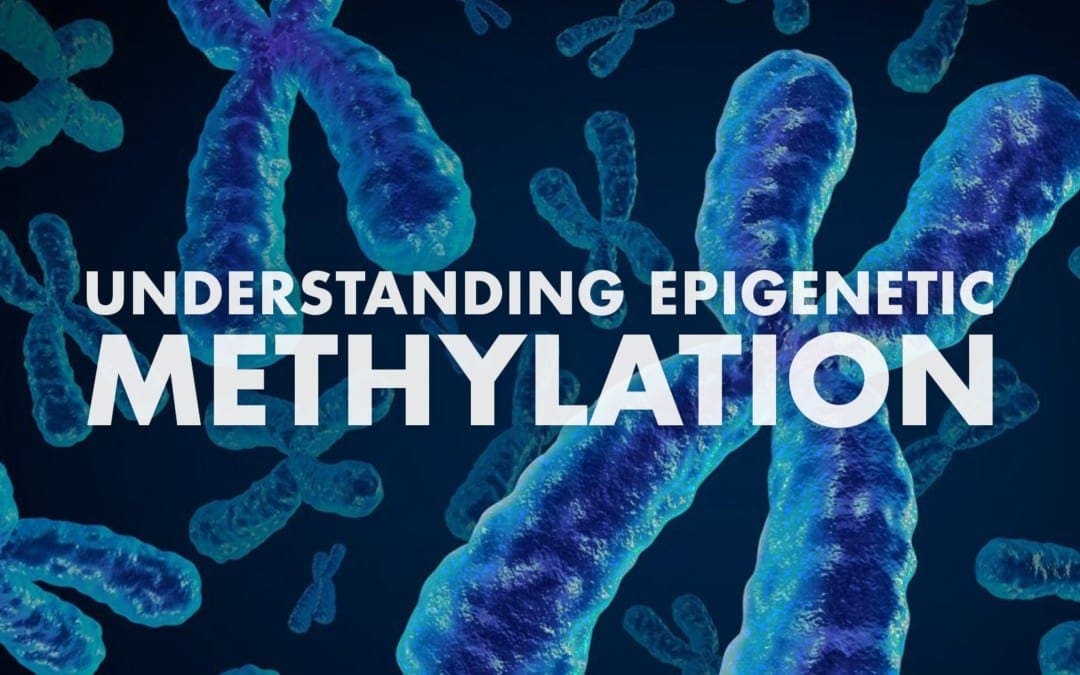 Understanding Epigenetic Methylation