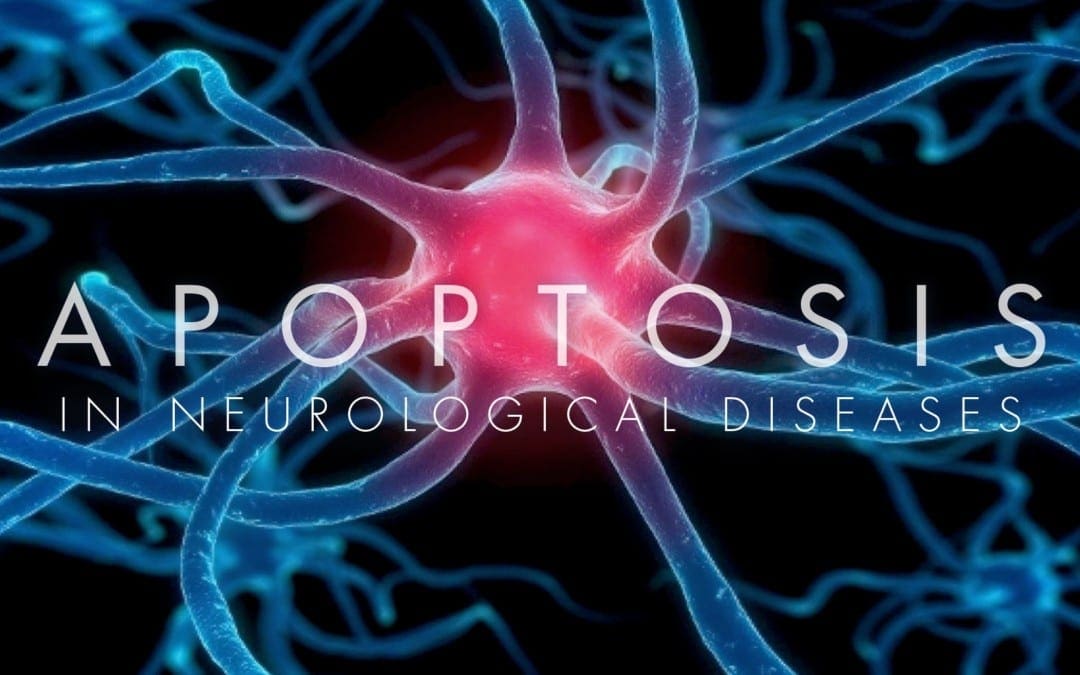 Apoptosis in Neurological Diseases
