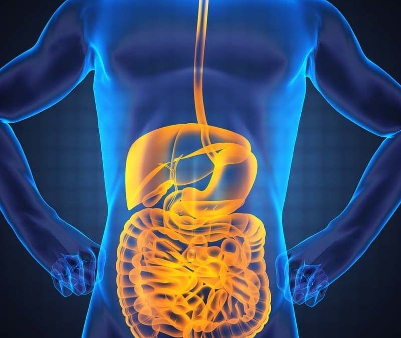 The Microbiome Functions and Functional Medicine Part: 3 El Paso, Texas