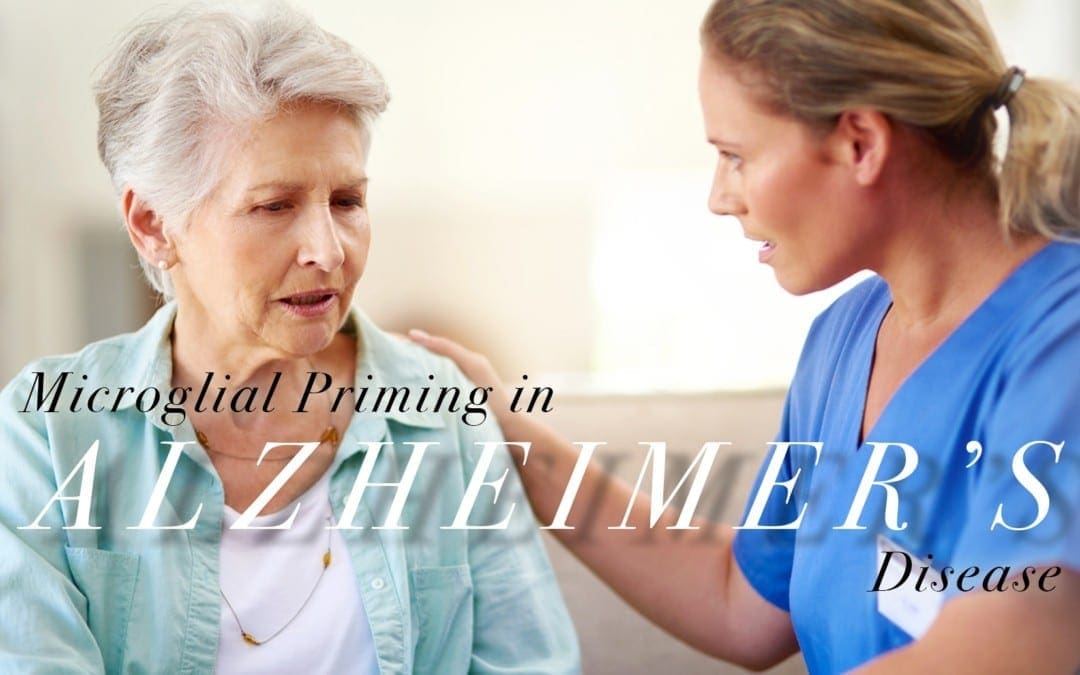 Microglial Priming in Alzheimer’s Disease