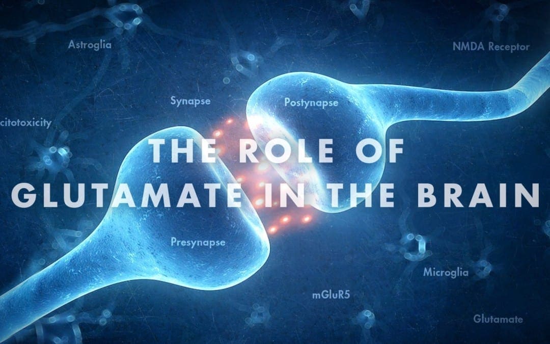 Functional Neurology: The Role of Glutamate in the Brain