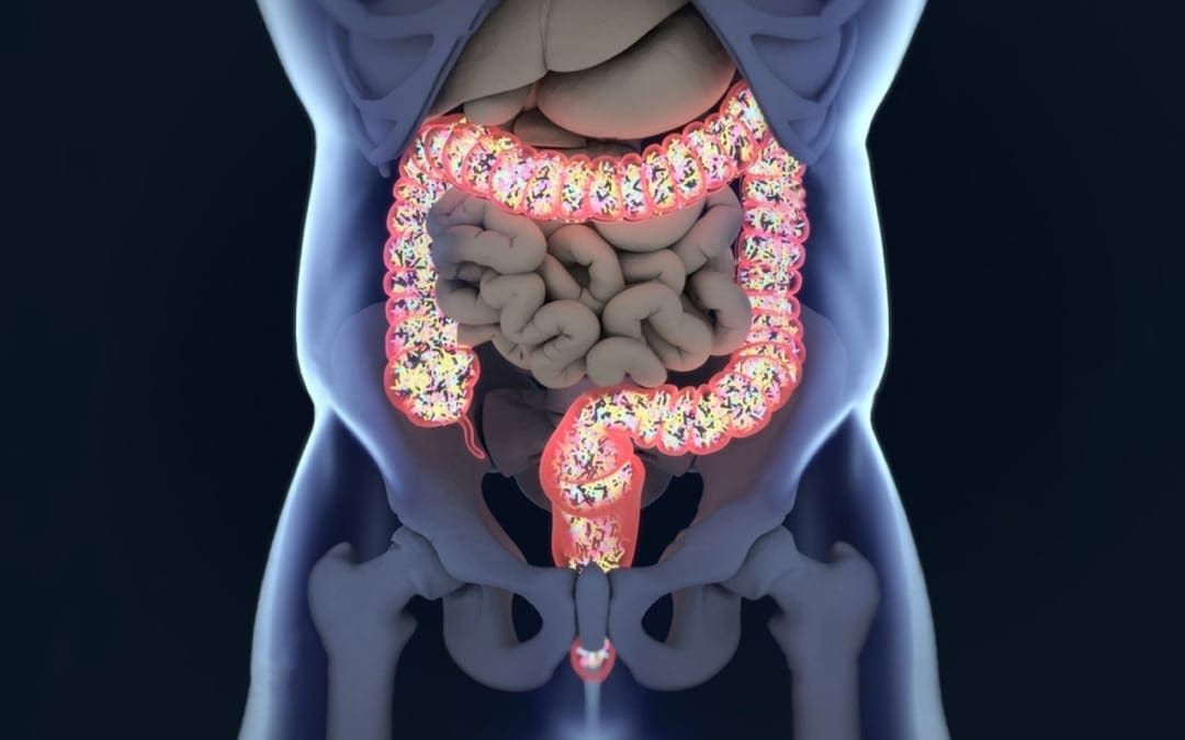 Lipopolysaccharides in Gram-negative Bacteria and Supporting the Immune System El Paso, Texas