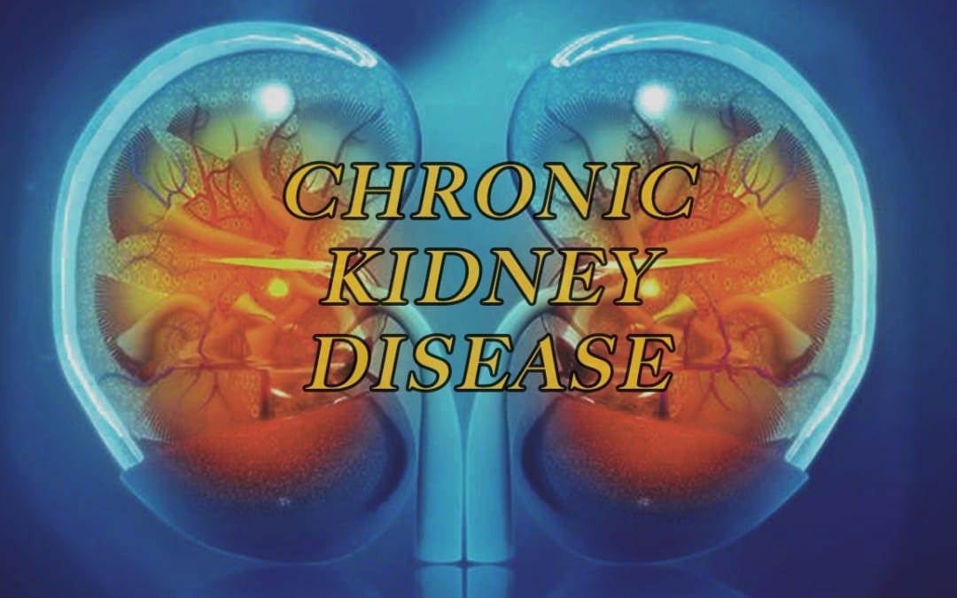 The Role of Dietary Fibers and CKD