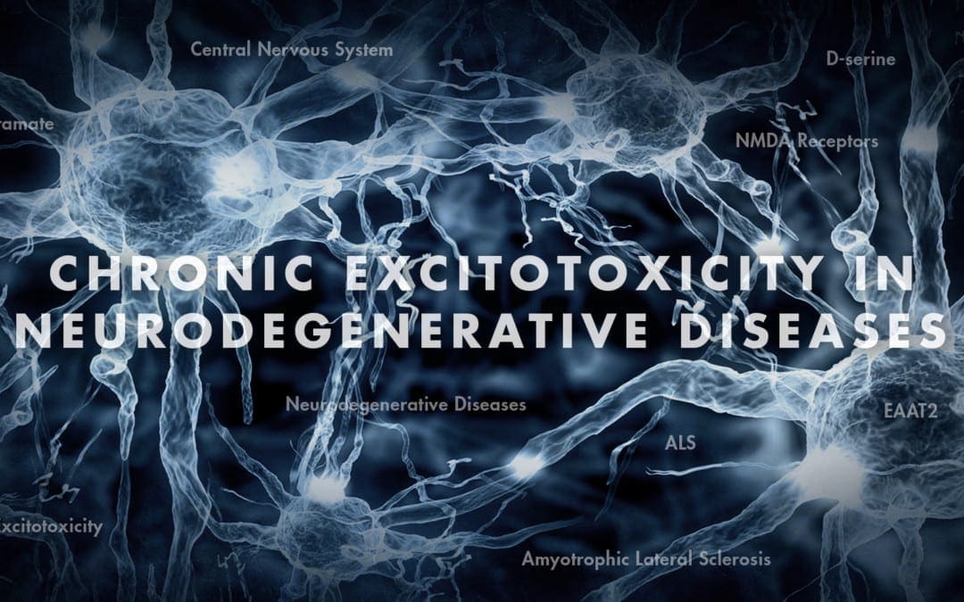 Functional Neurology: Chronic Excitotoxicity in Neurodegenerative Diseases Part 3