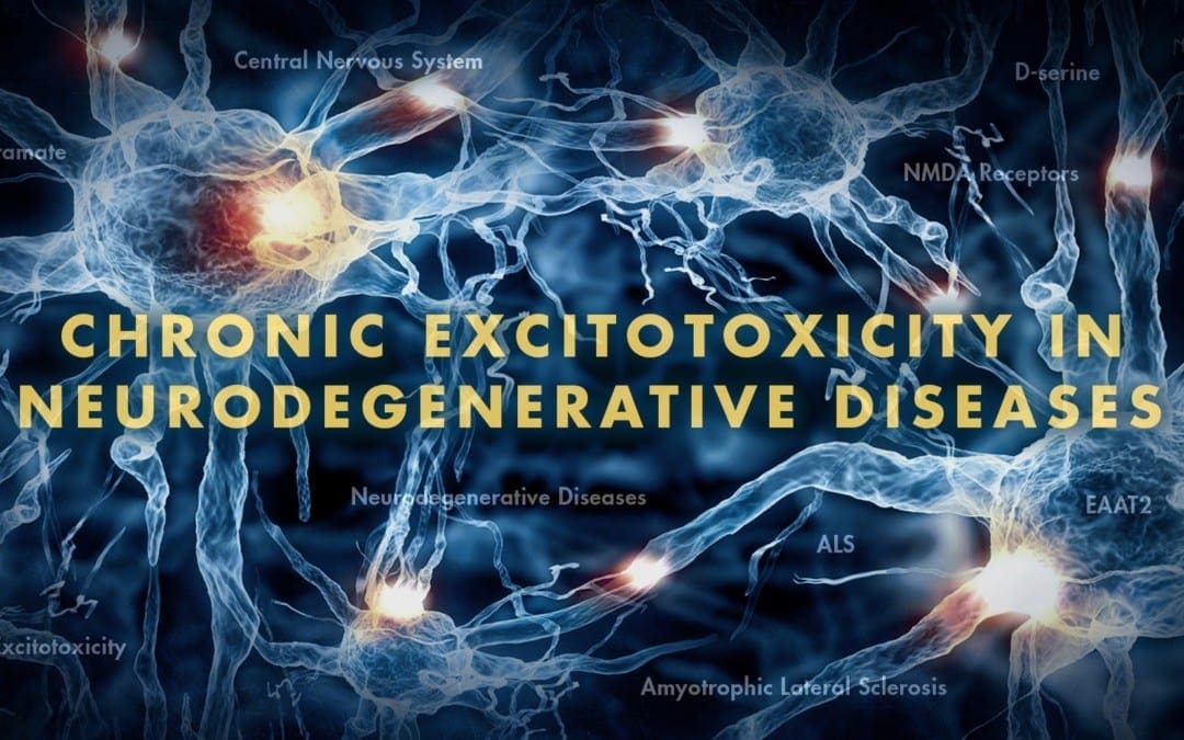 Functional Neurology: Chronic Excitotoxicity in Neurodegenerative Diseases