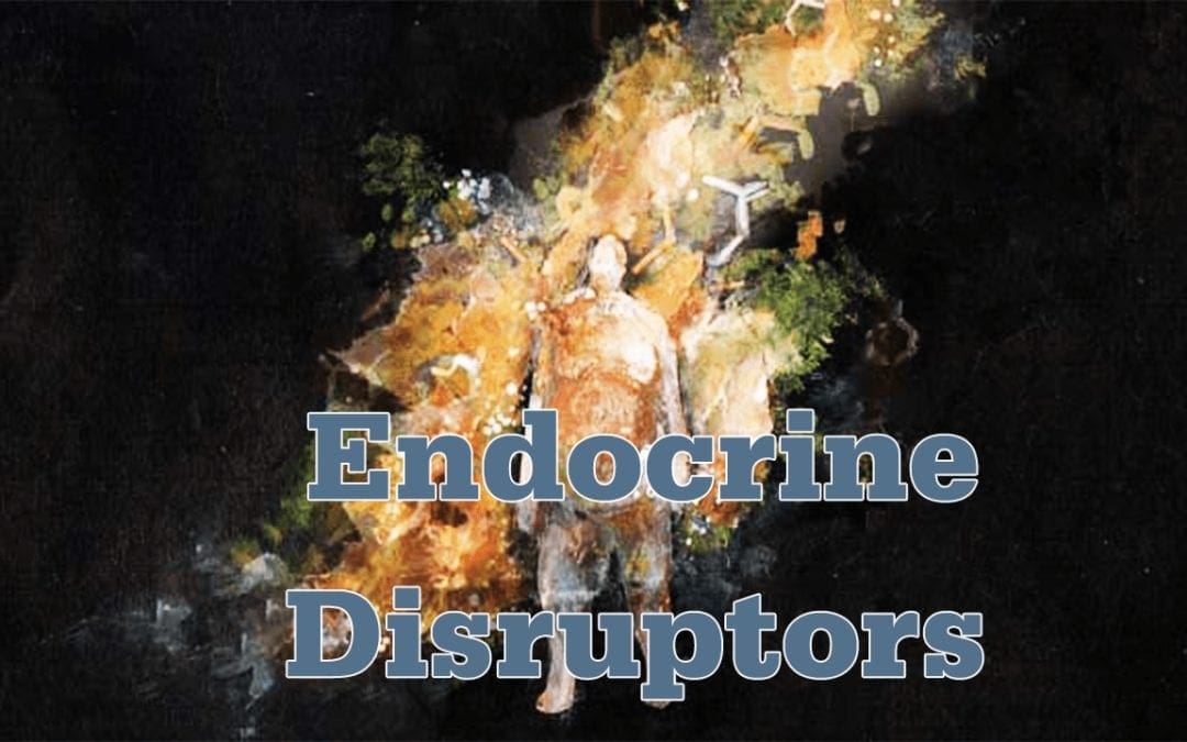 Functional Endocrinology: Endocrine Disruptors