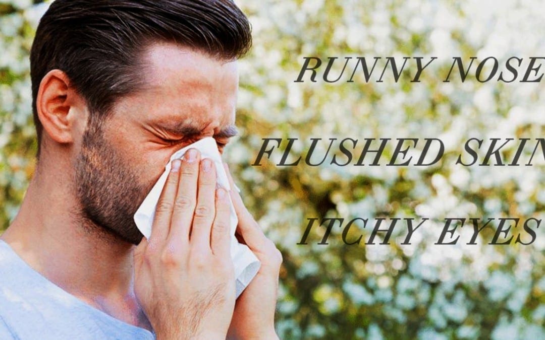 The Attack of Allergies