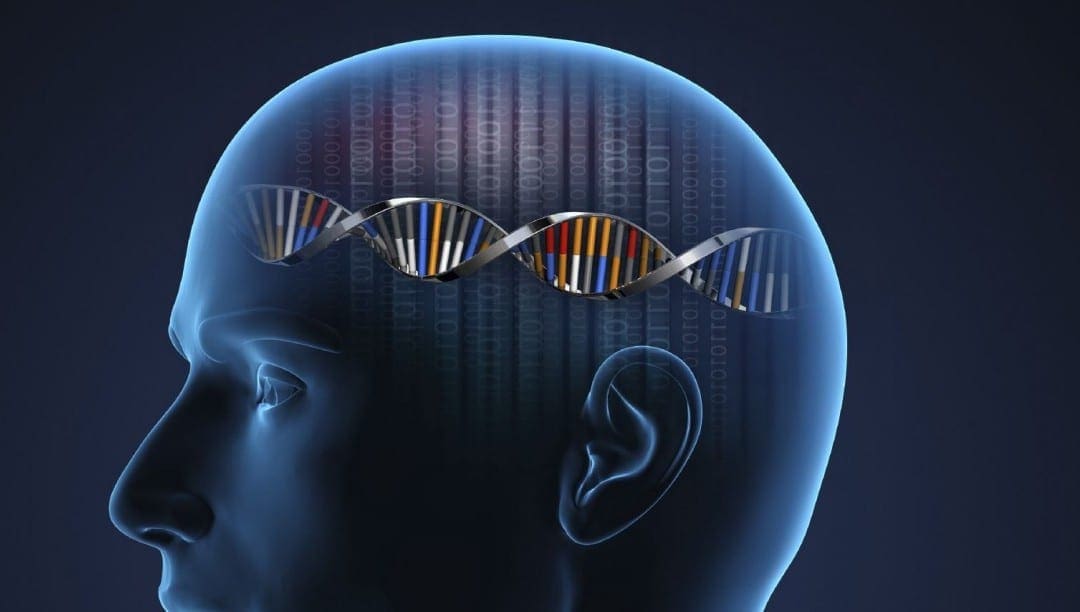 Functional Neurology: Nrf2 Activation for Neurological Diseases