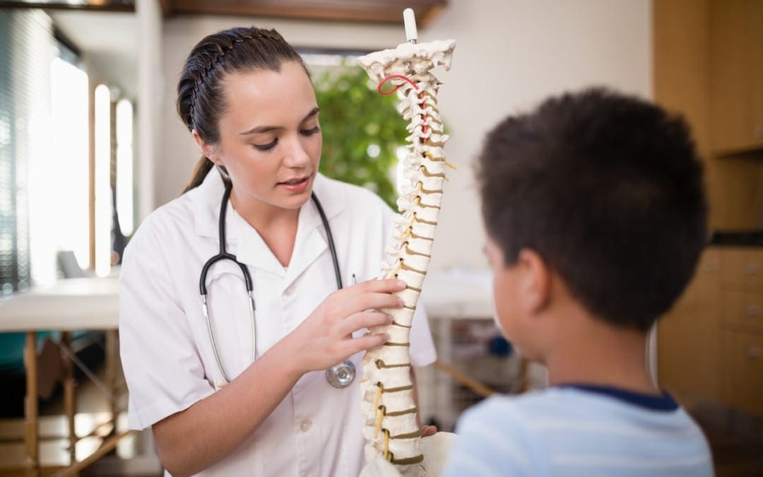 Get to Know and Understand Your Back El Paso Texas