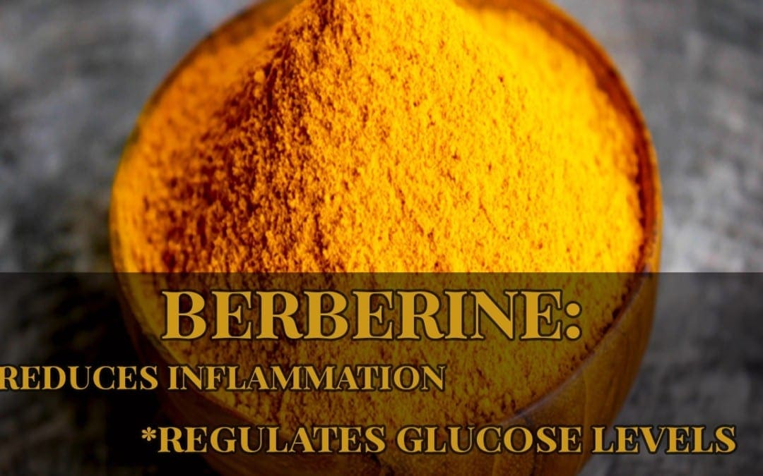Berberine and Metabolic Syndrome