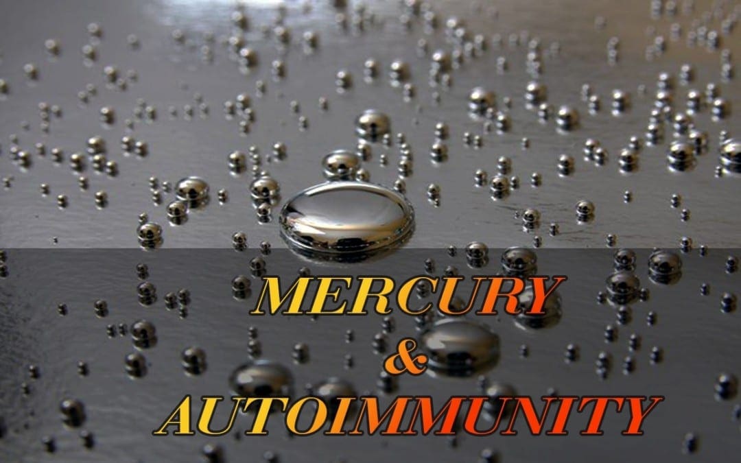 Functional Endocrinology: Mercury and Autoimmune Connection