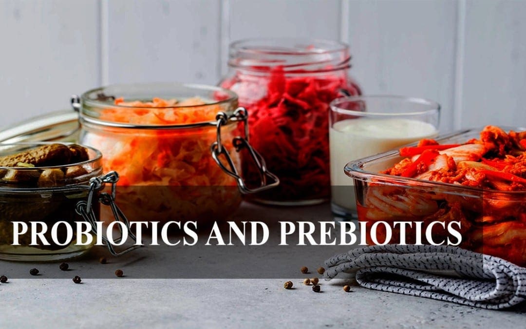 Amazing Probiotic And Prebiotic Function For Your Body