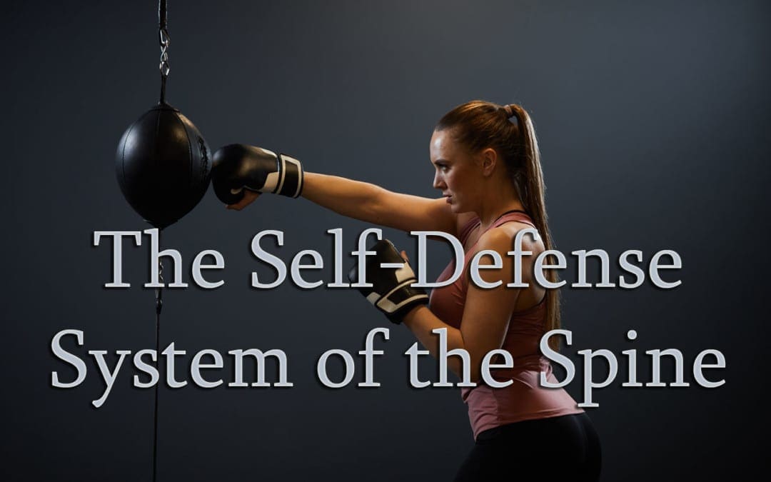 Self-Defense System of The Spine