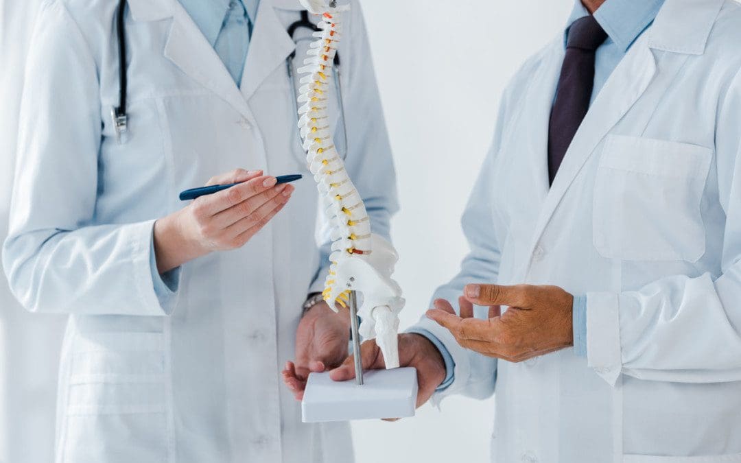 Chiropractic and Spinal Health
