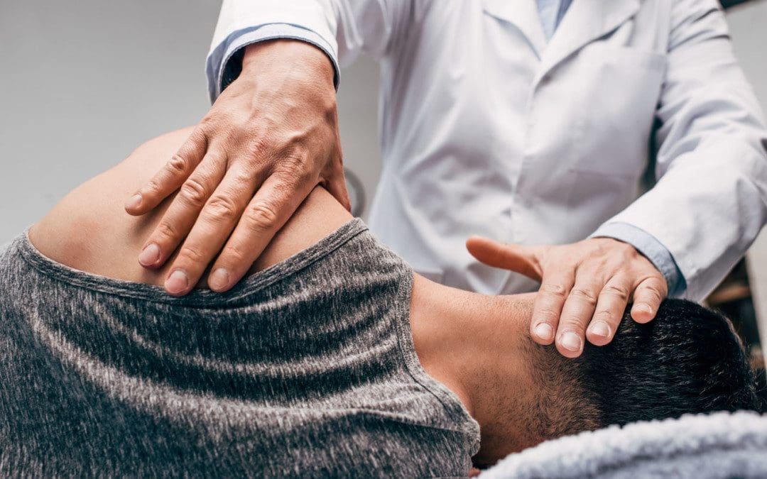 An Overview Of Lyme Disease