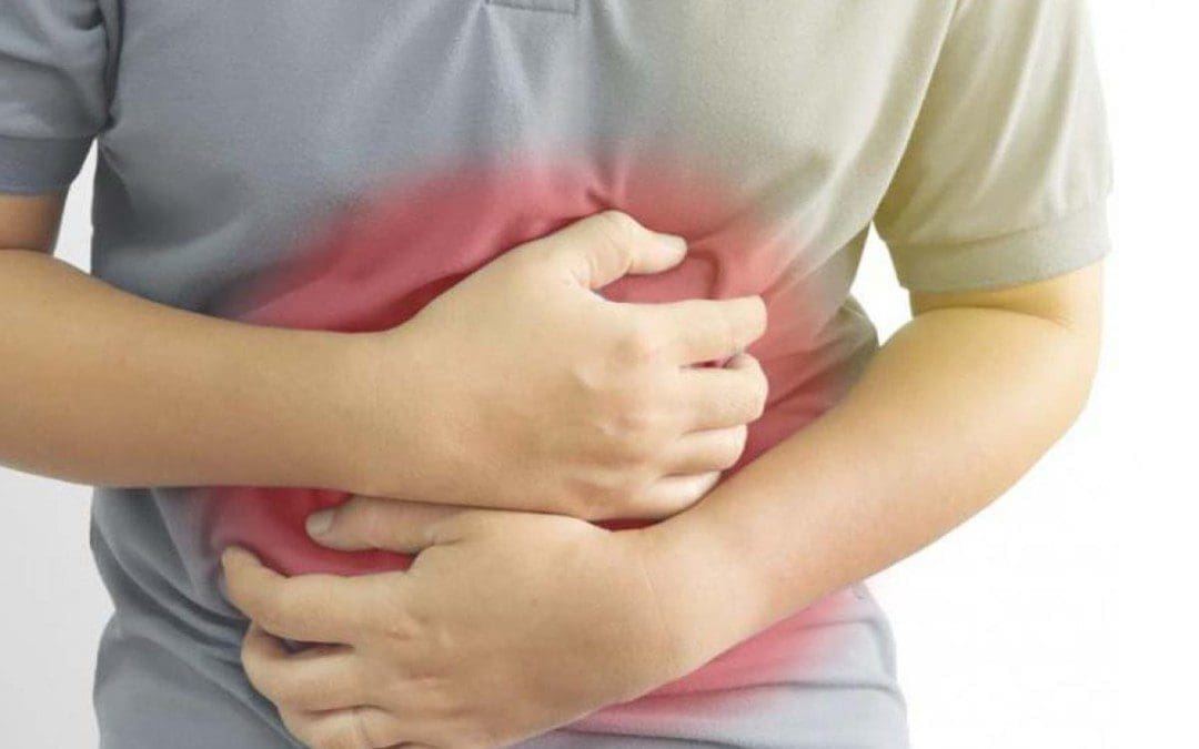Different Diets Altering The Human Microbiome