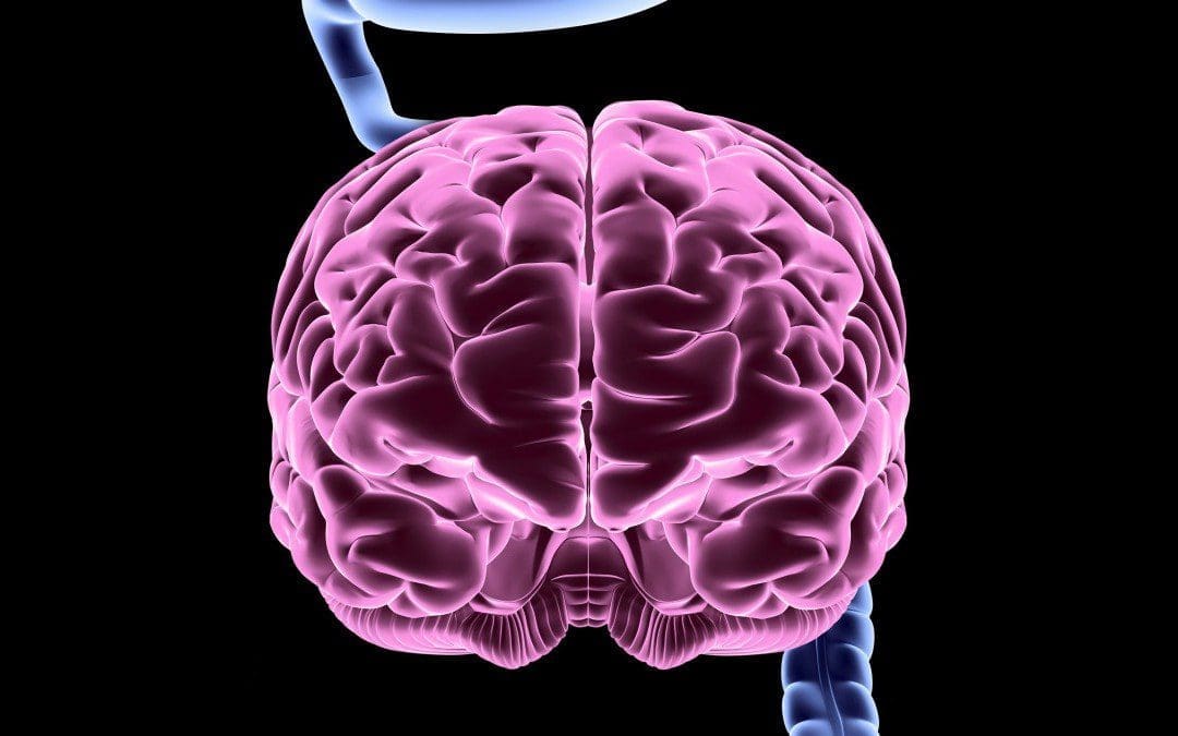 A Look At Gut-Brain Dysbiosis & Chronic Inflammation