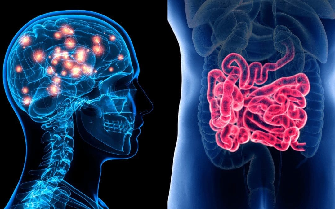 Traumatic Brain Injury Affecting The Gut