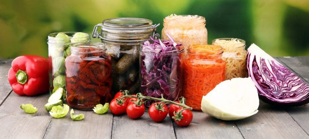 Healthy Gut & Healthy Nutrients
