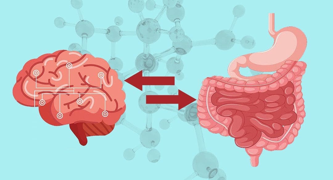 Gut-Brain Axis: Gut Disorders & Metainflammation