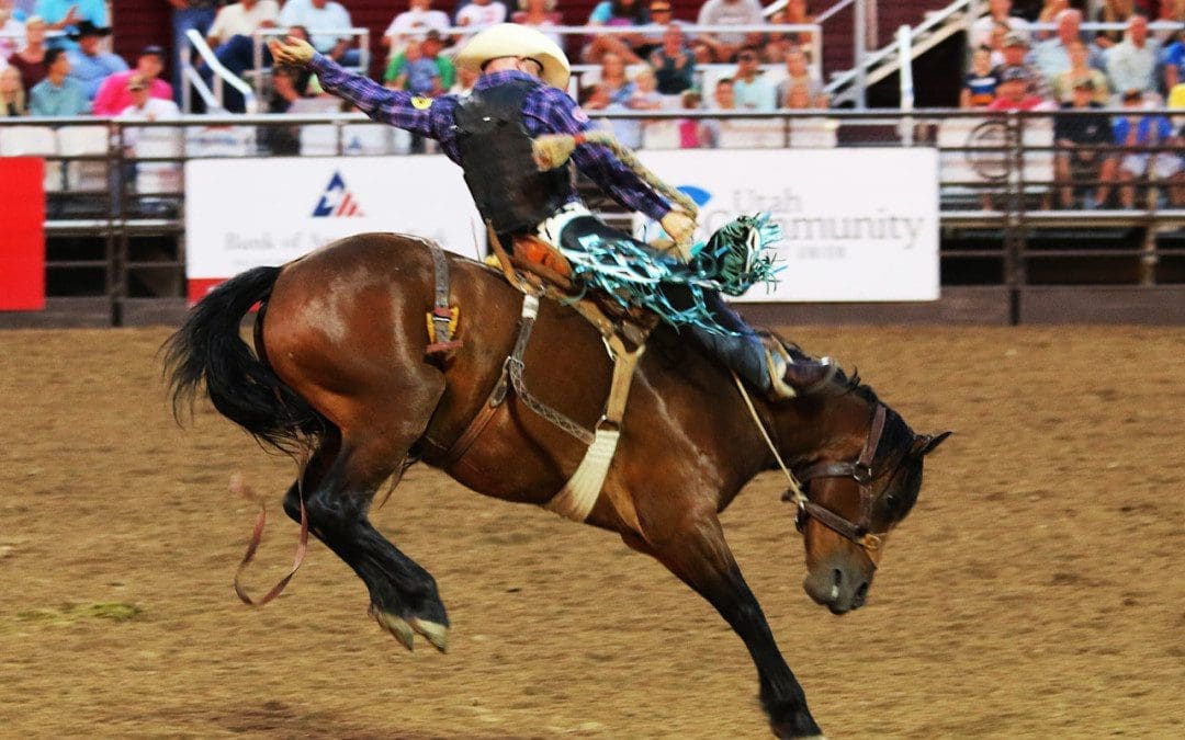 Rodeo Training: El Paso Back Clinic