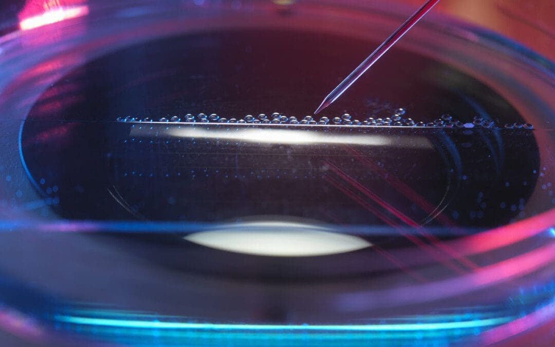 Regenerative Cells: Different Types and Functions