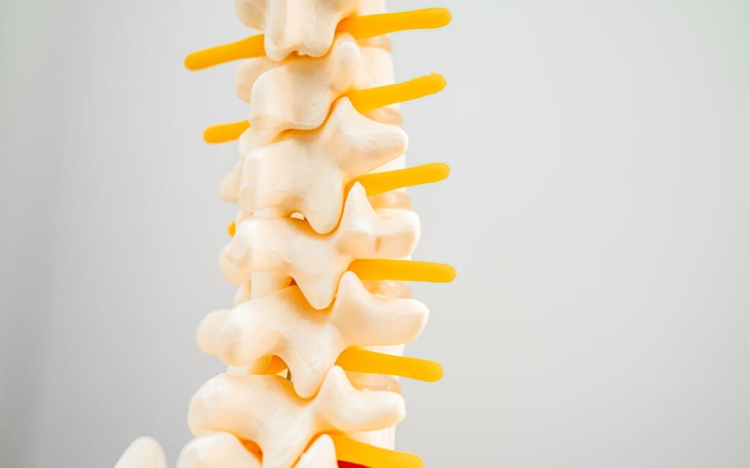 Intervertebral Foramen: The Gateway to Spine Health