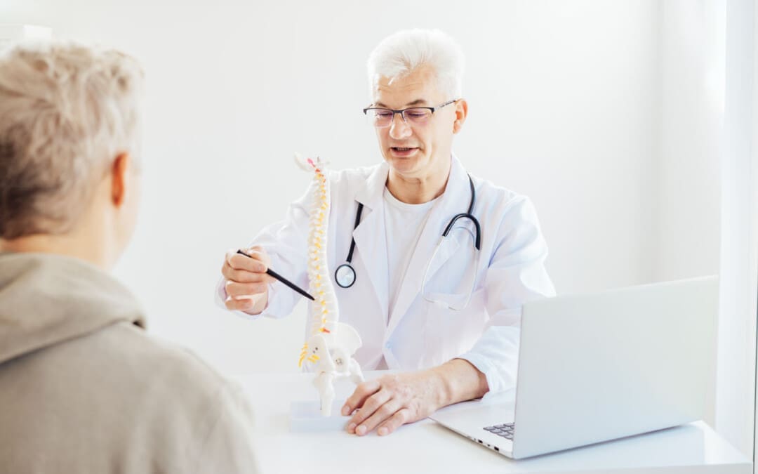 Demystifying Spinal Nerve Roots and Their Impact on Health