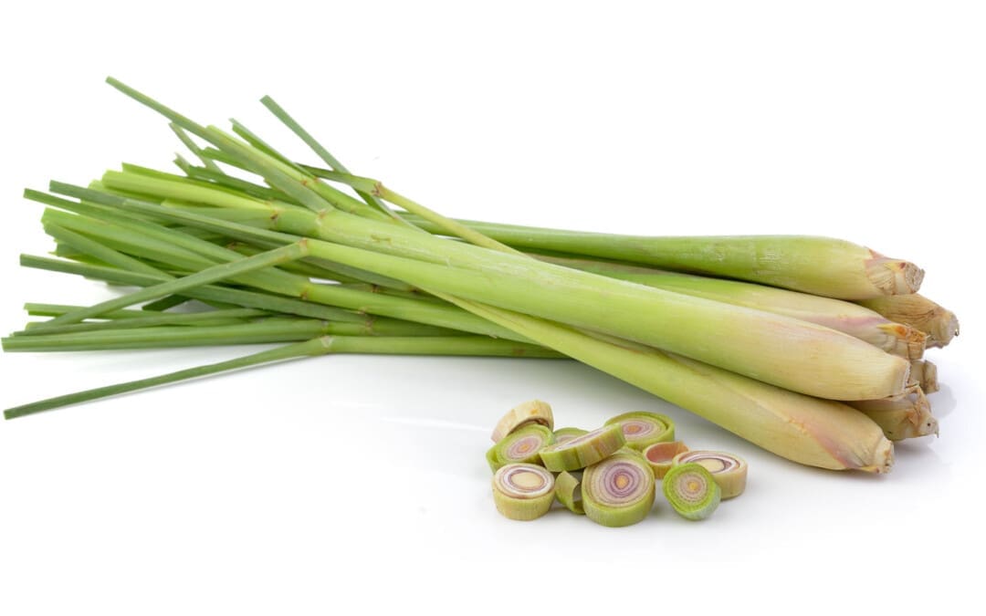 Unlock the Secrets of Lemongrass: Health Benefits and More